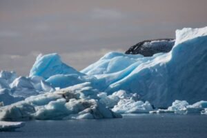 Photos-of-Antarctic-Icebergs-22 Photos-of-Antarctic-Icebergs-22