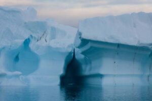 Photos-of-Antarctic-Icebergs-38 Photos-of-Antarctic-Icebergs-38