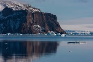 Photos-of-Antarctic-Wildlife-13 Photos-of-Antarctic-Wildlife-13