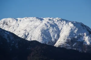 Scottish-Highlands16 Scottish-Highlands16