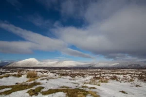 Scottish-Highlands25 Scottish-Highlands25