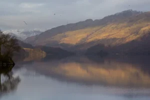 Scottish-Highlands34 Scottish-Highlands34