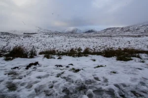 Scottish-Highlands40 Scottish-Highlands40