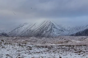 Scottish-Highlands41 Scottish-Highlands41