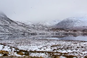 Scottish-Highlands43 Scottish-Highlands43