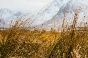 Scottish-Highlands48 Scottish-Highlands48