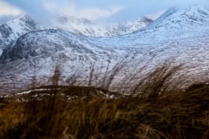 Scottish-Highlands50 Scottish-Highlands50