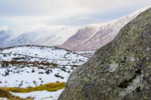 Scottish-Highlands52 Scottish-Highlands52