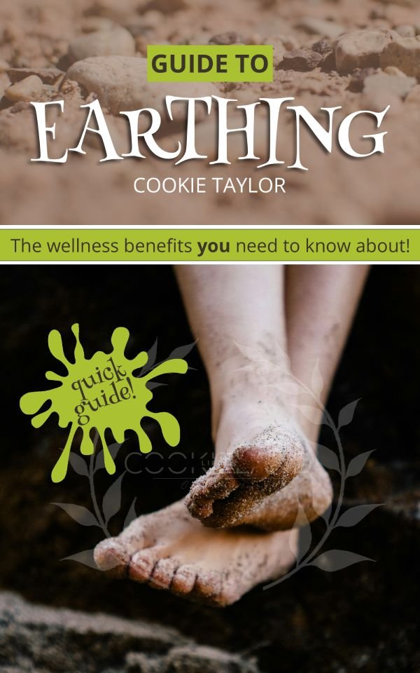 Earthing-Guide